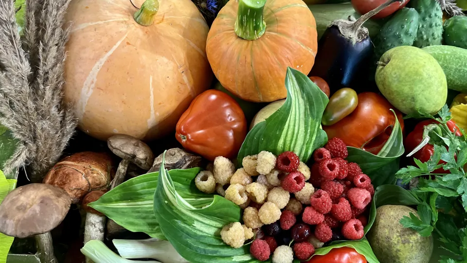 Фото: МедиаБанк Подмосковья/Анна Тюрюмина