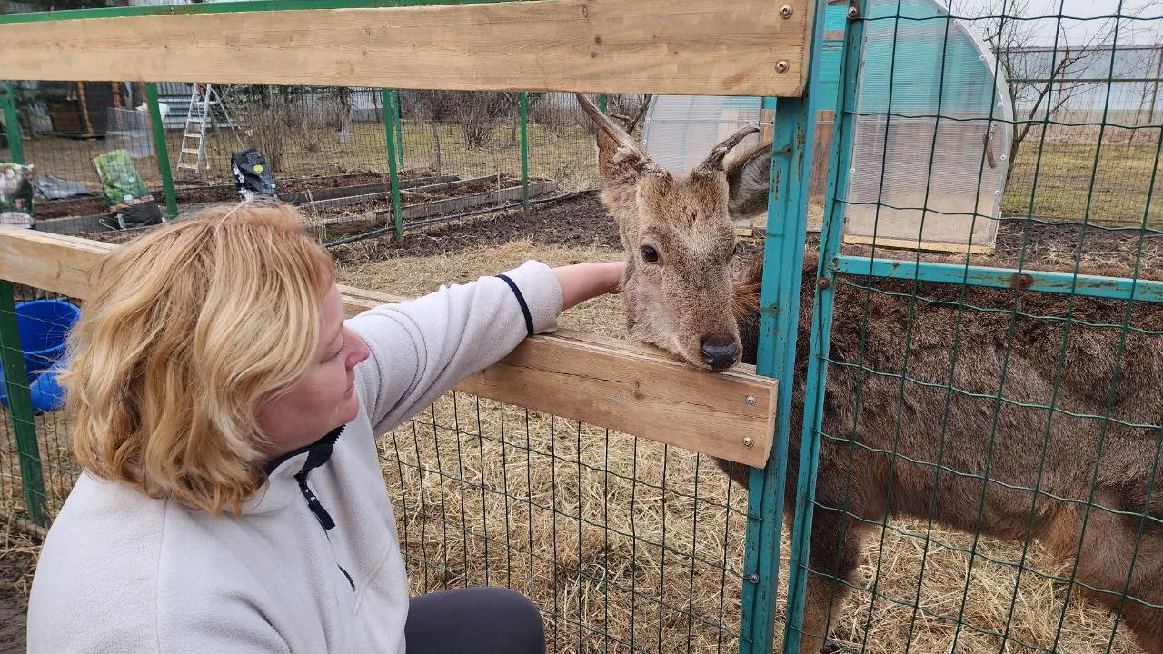 Фото: МедиаБанк Подмосковья/Евгения Герасимова