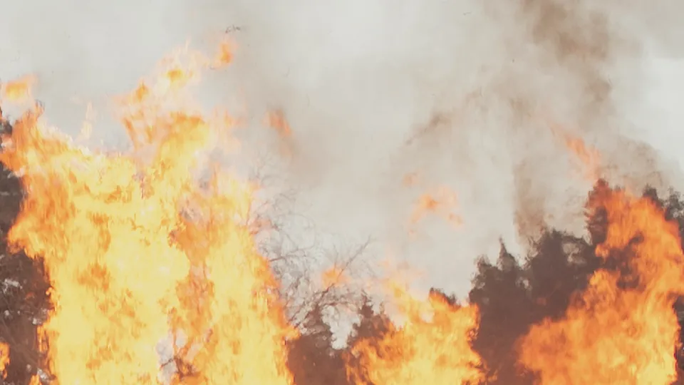 Фото: REGIONS/Наталия Надточая