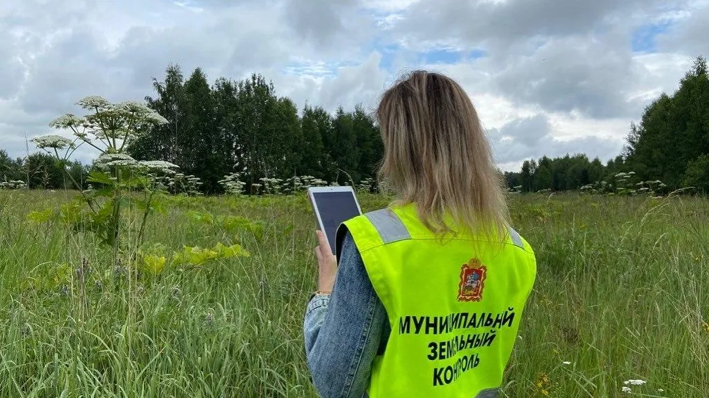 Свыше двух миллиардов рублей земельного налога начислили в Подмосковье за нарушения использования земель