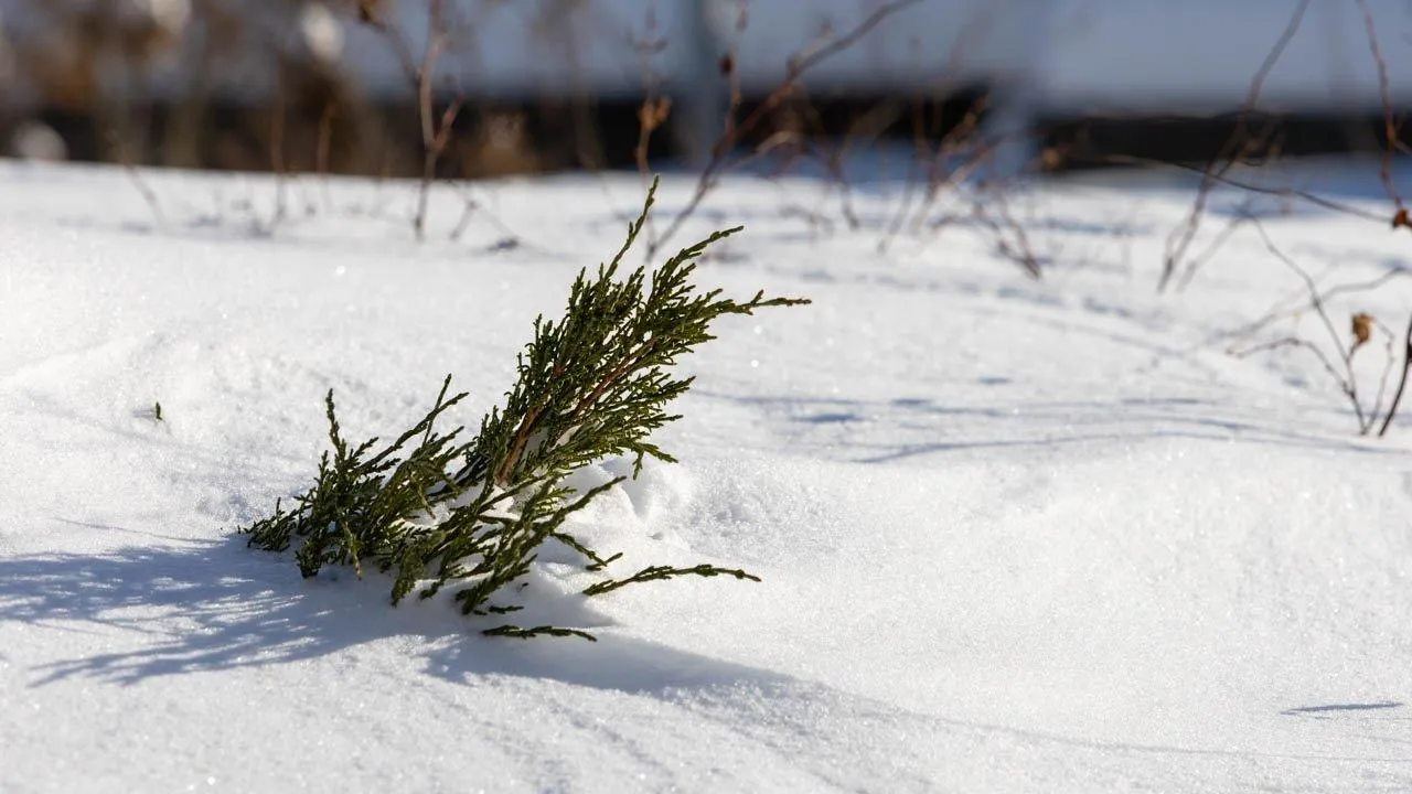 REGIONS/Роман Малышенко