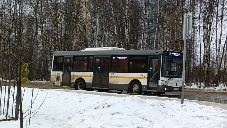 Фото: МедиаБанк Подмосковья/Екатерина Дятловская