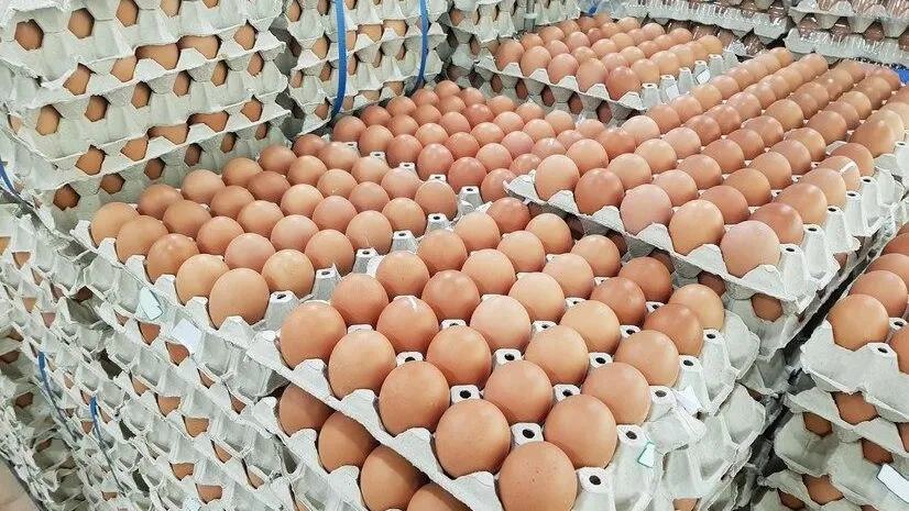 медиасток.рф