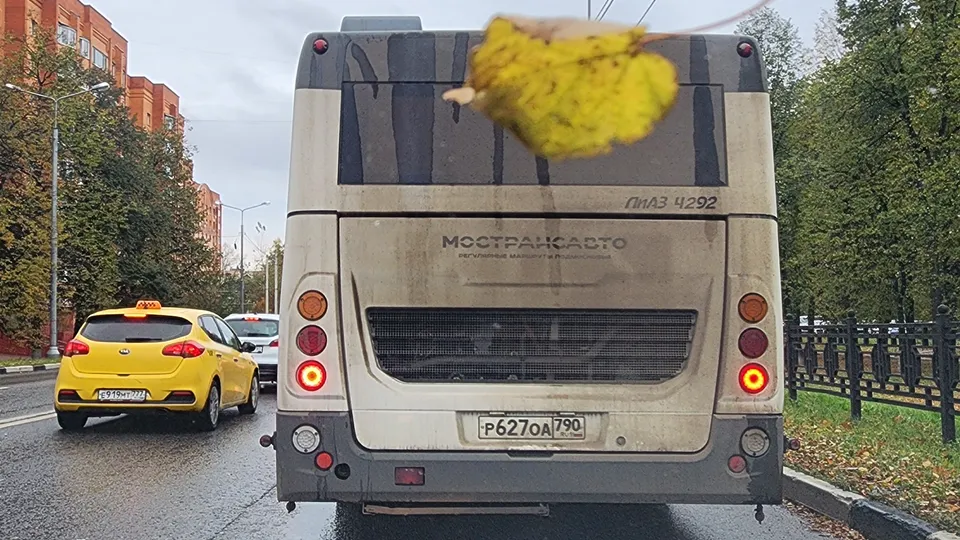 Фото: REGIONS/Наталия Надточая