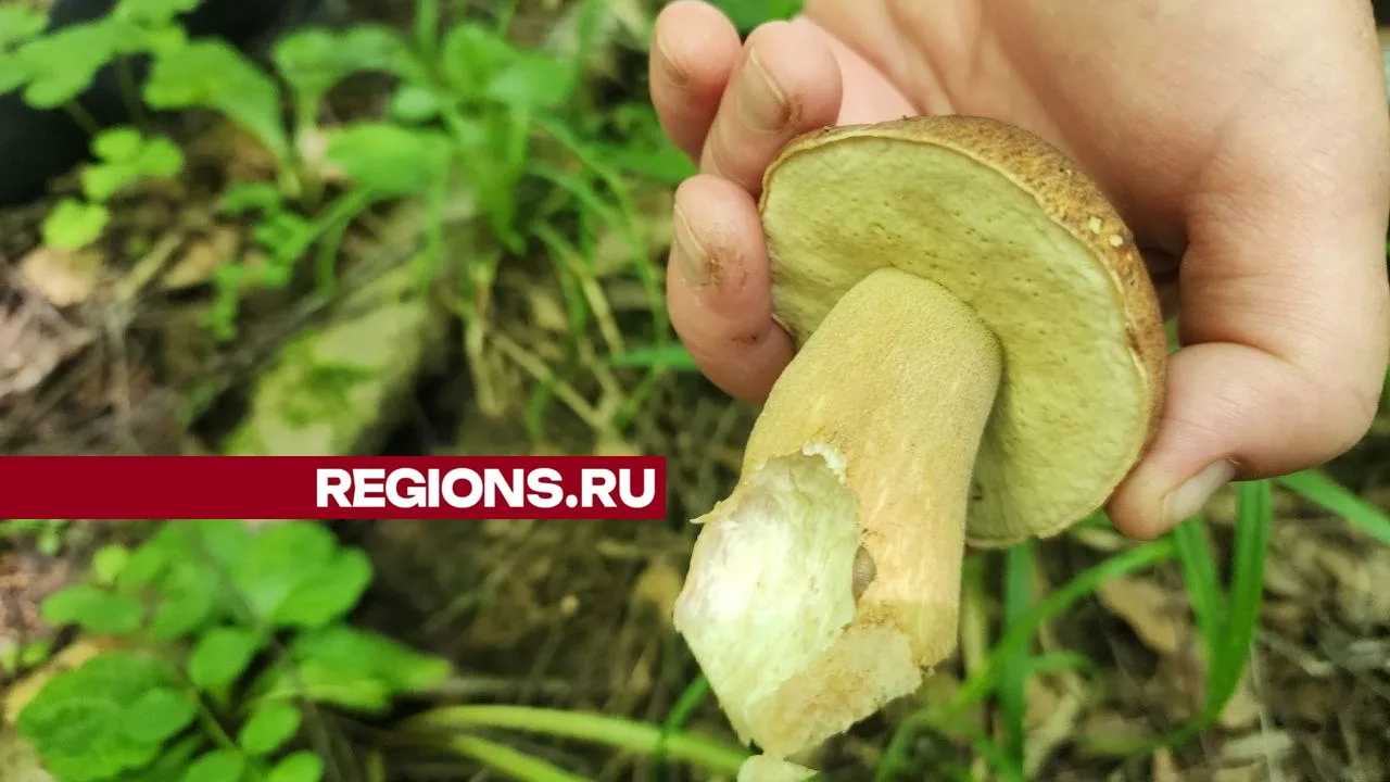 Фото: Мария Панина