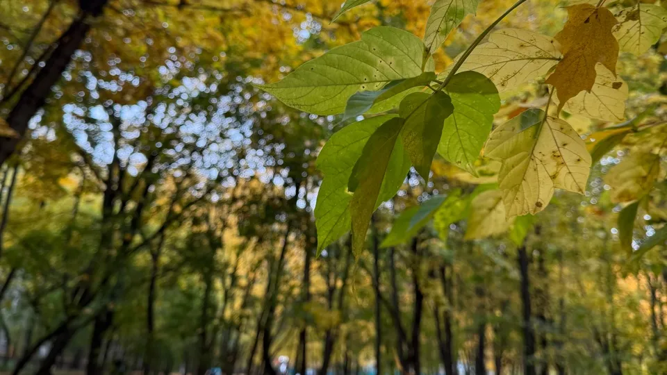 Фото: REGIONS/Валерия Ковешникова