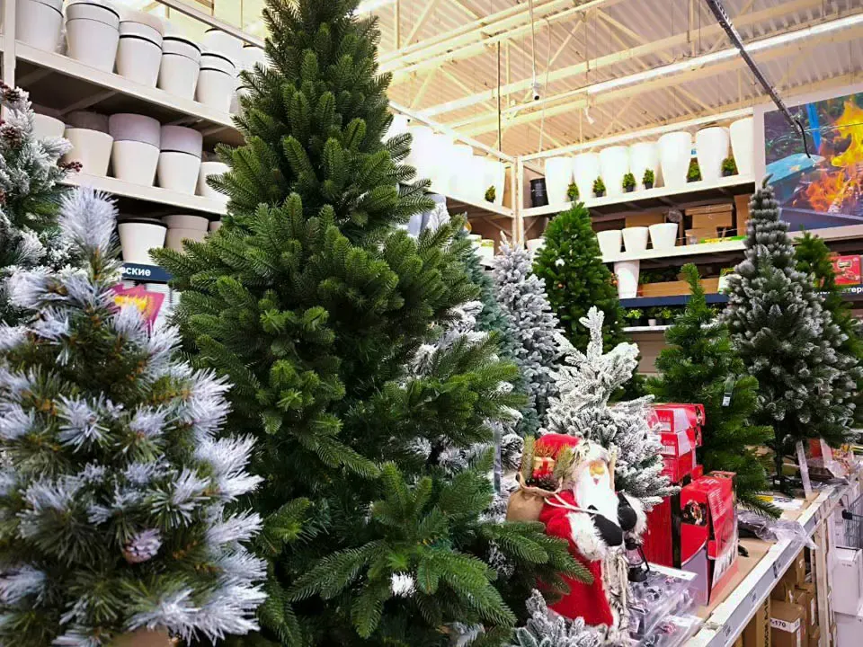 Фото: REGIONS/Роман Малышенко