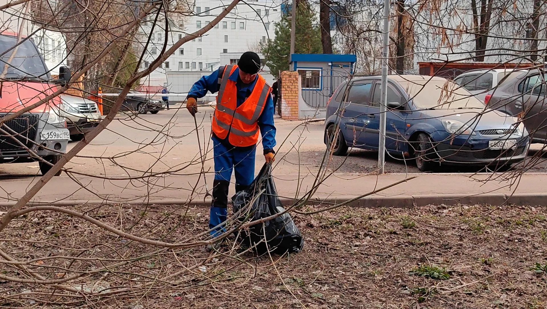 Елена Катасонова