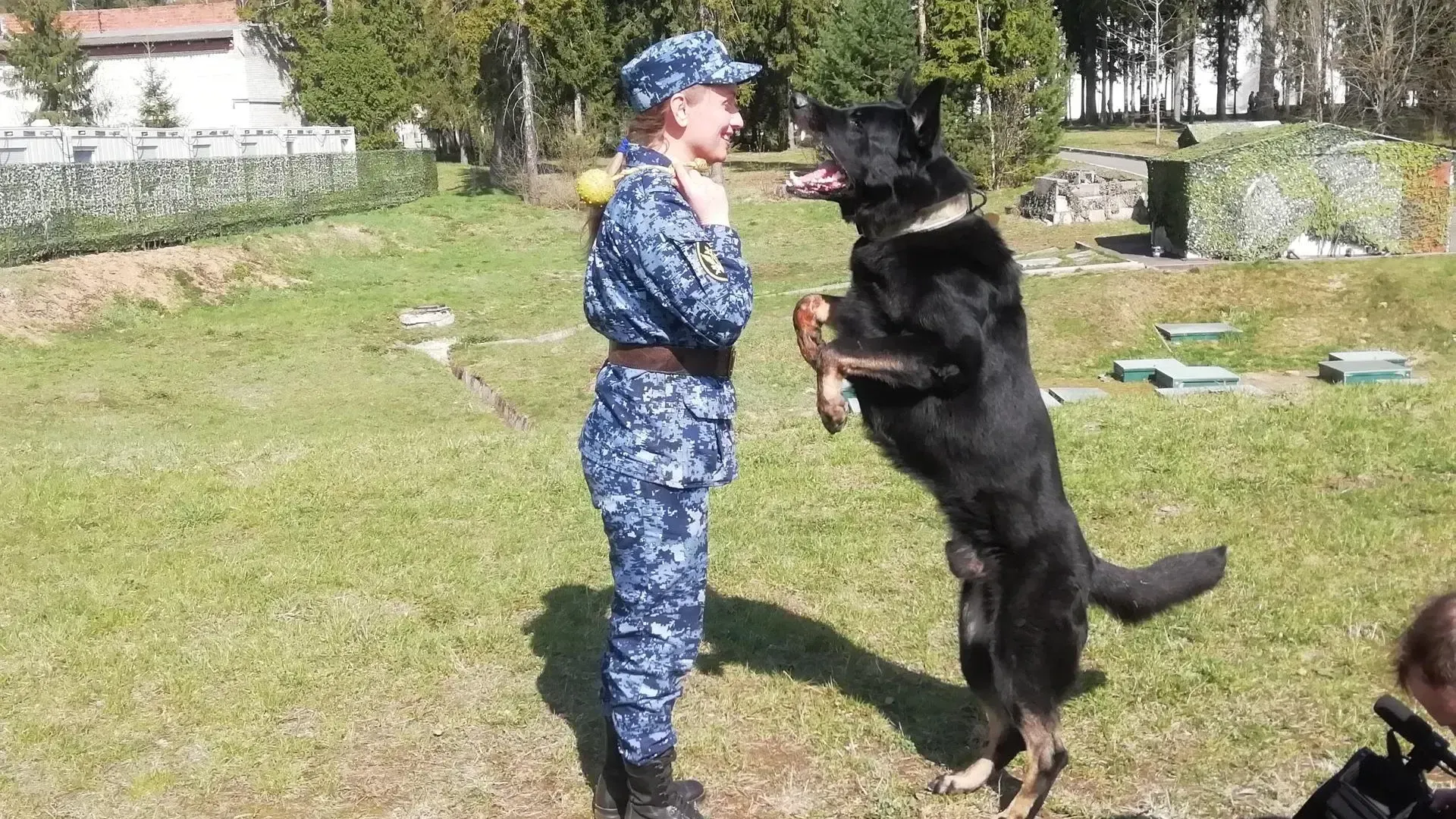 Чемпионат кинологов — Хавива Фонина