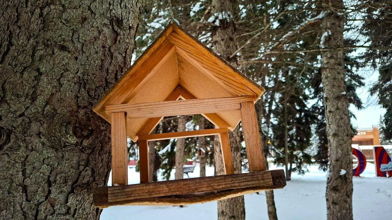 REGIONS/Юлия Габбасова