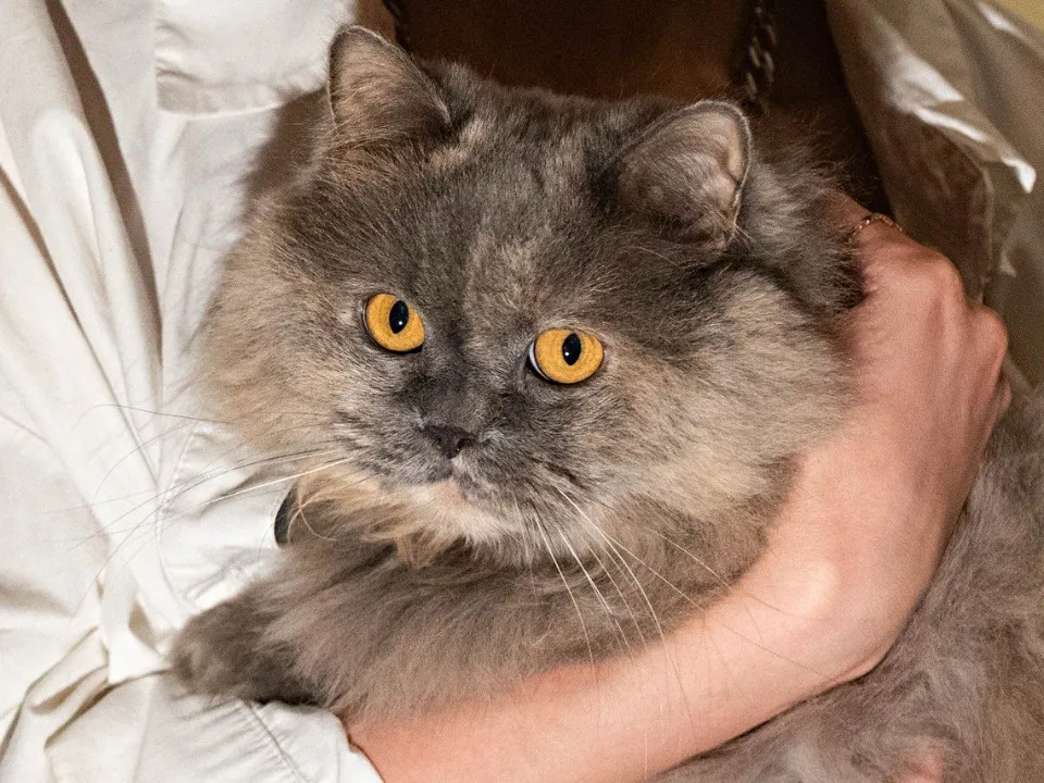 Фото: Максим Зубарев