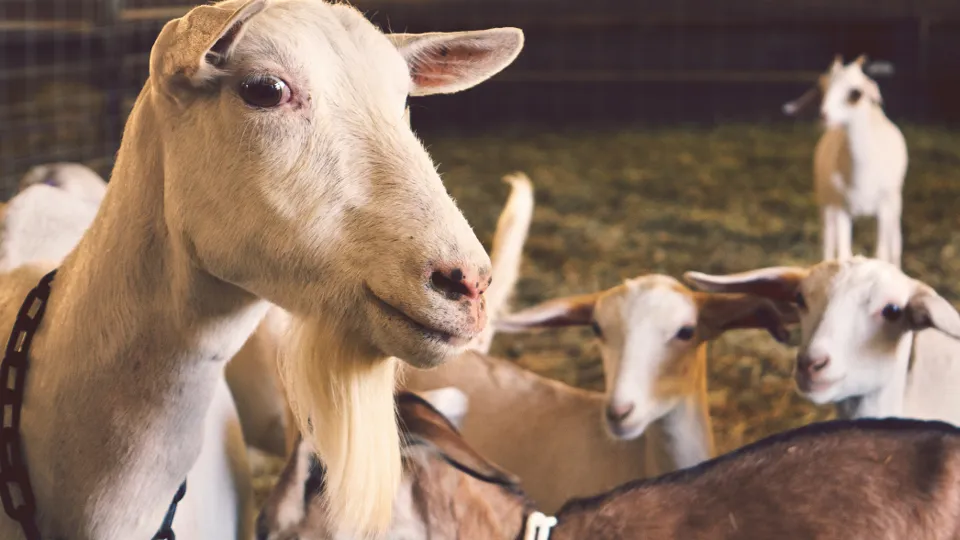 Фото: unsplash.com