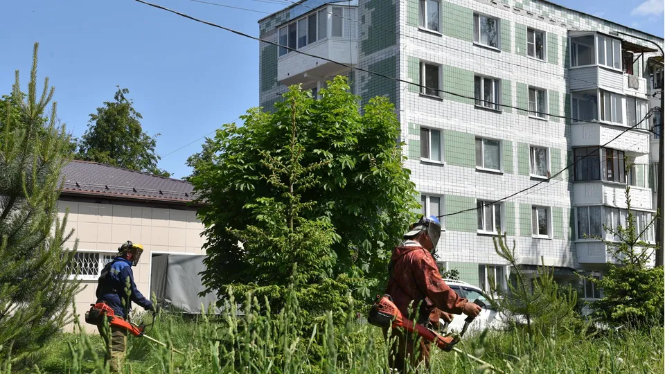 Фото: Владимир Останин