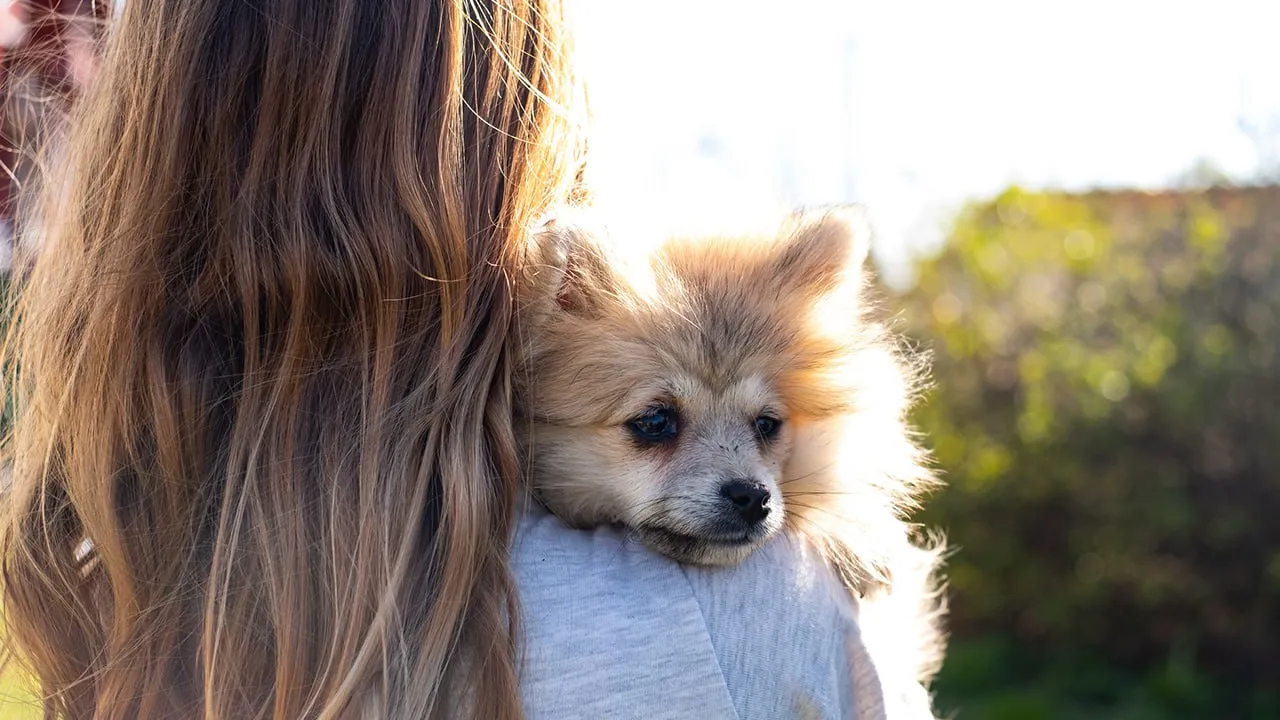 Фото: istockphoto.com/StockPlanets