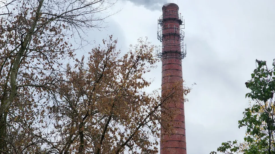 Фото: МедиаБанк Подмосковья/Ксения Пашуто