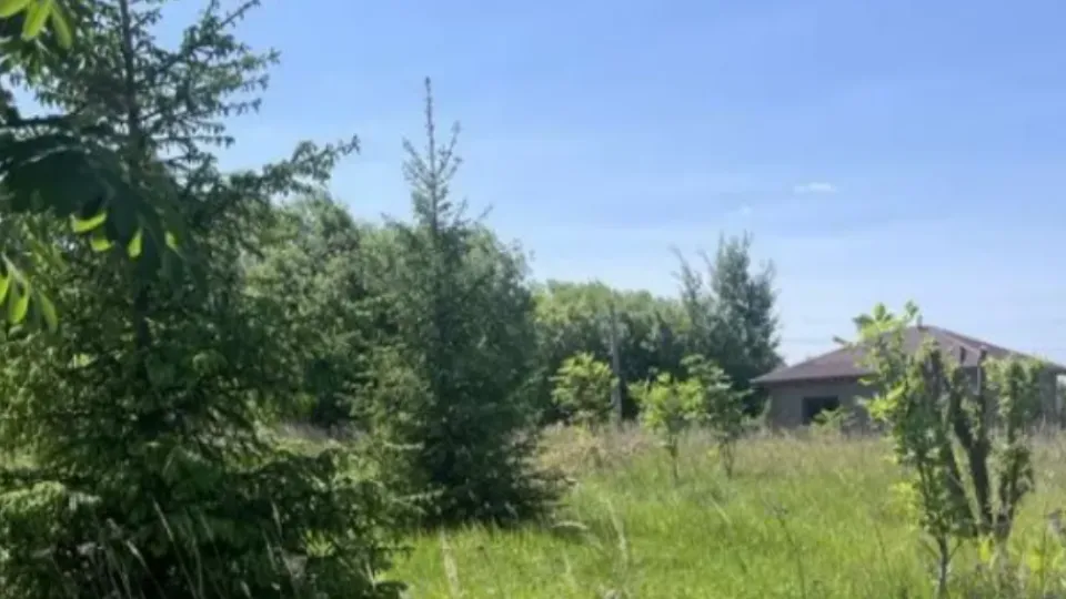 Фото: Комитет по конкурентной политике Московской области