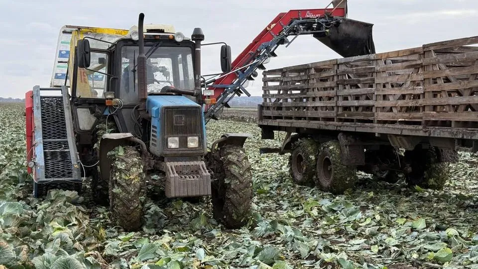 Фото: МедиаБанк Подмосковья/Юлия Скавронова