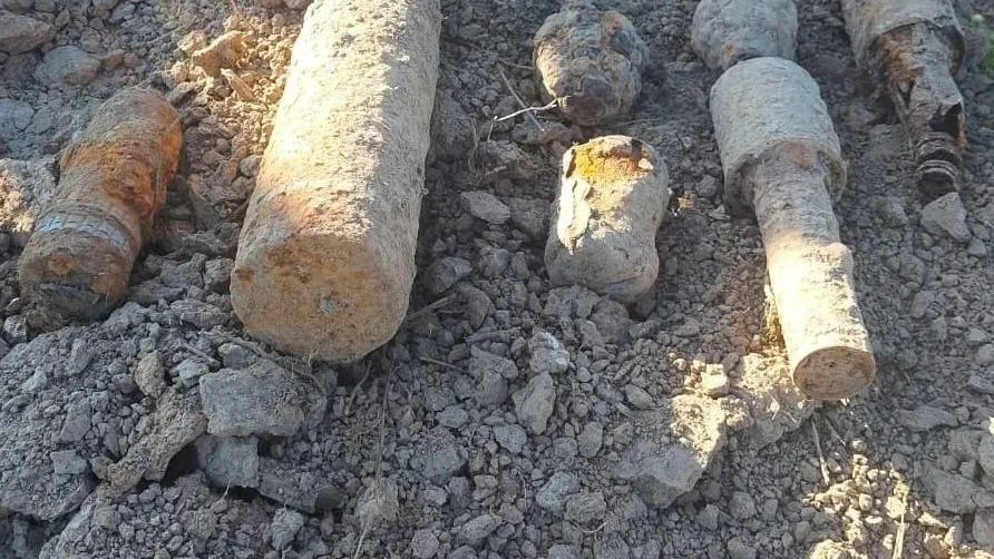 Фото: ГКУ МО «Мособлпожспас»