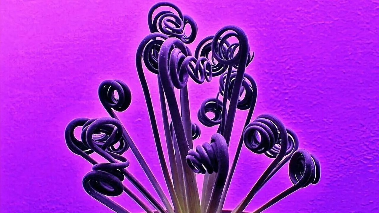 REGIONS/Сгенерировано нейросетью