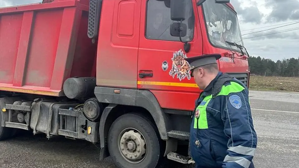 Фото: Министерство экологии и природопользования Московской области