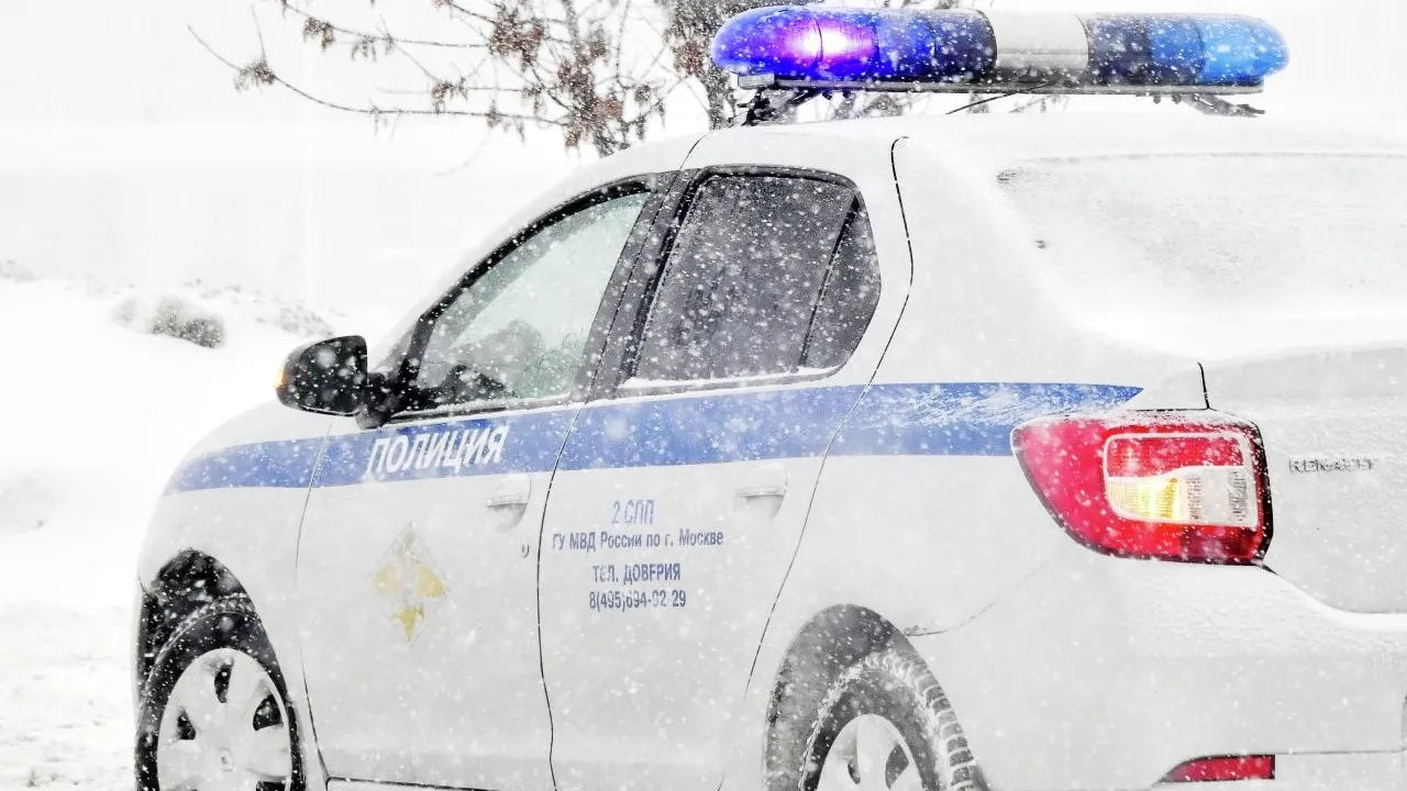 РИА новости/Наталья Селиверстова