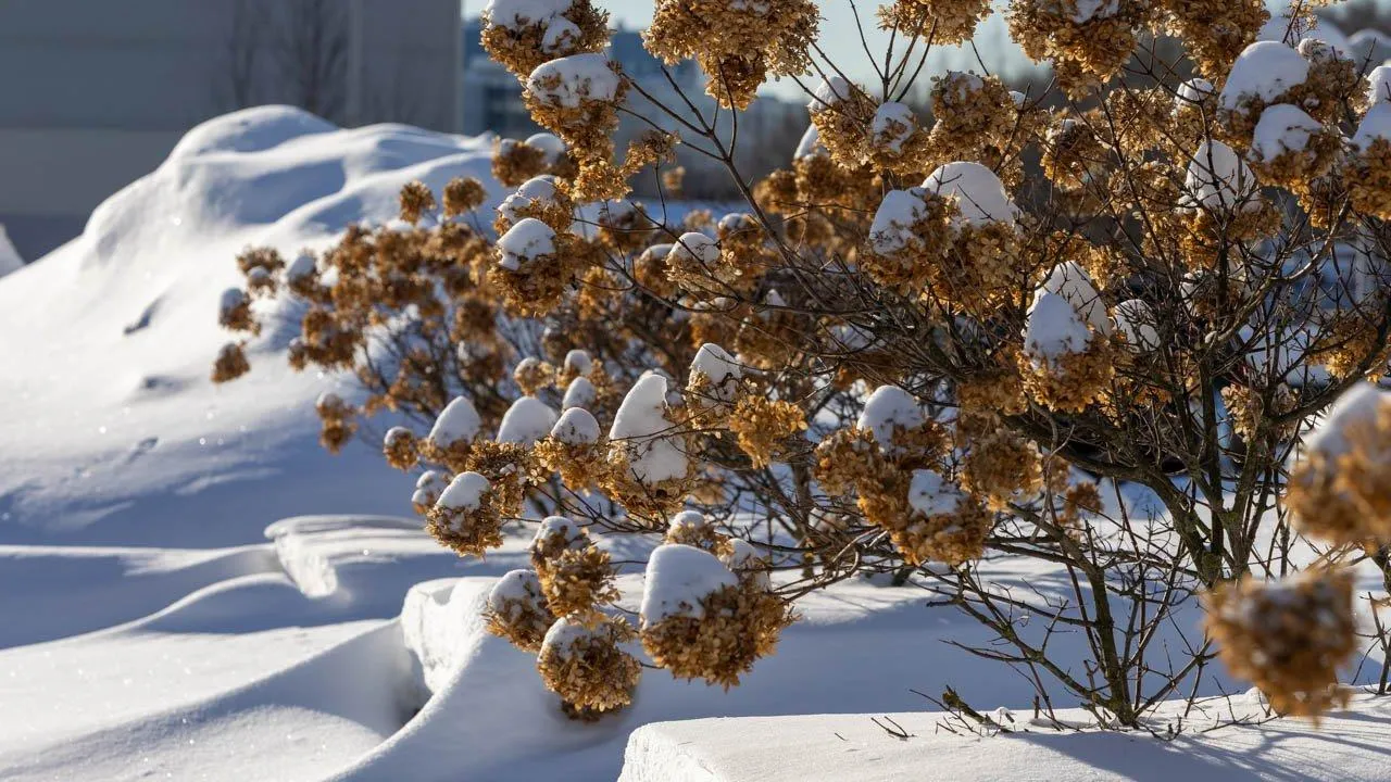 REGIONS/Роман Малышенко