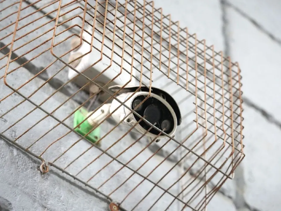 Фото: МедиаБанк Подмосковья/Дмитрий Зайчиков