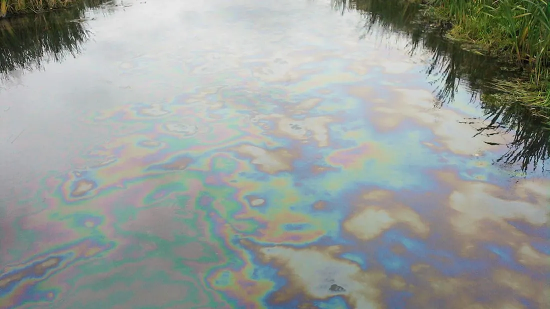 Фото: unsplash.com