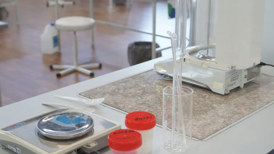 Фото: REGIONS/Дарина Левкина