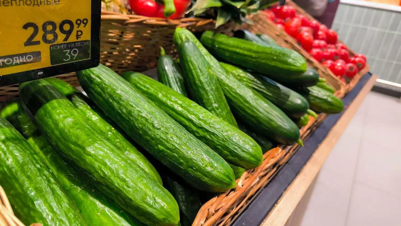 REGIONS/Роман Малышенко