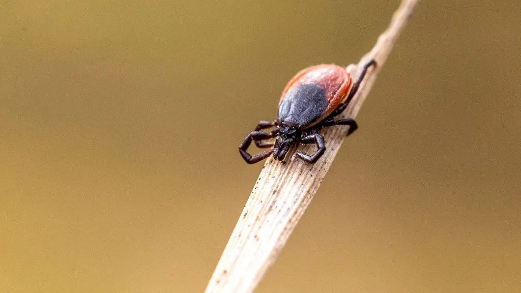 Фото: Антон Кондратюк
