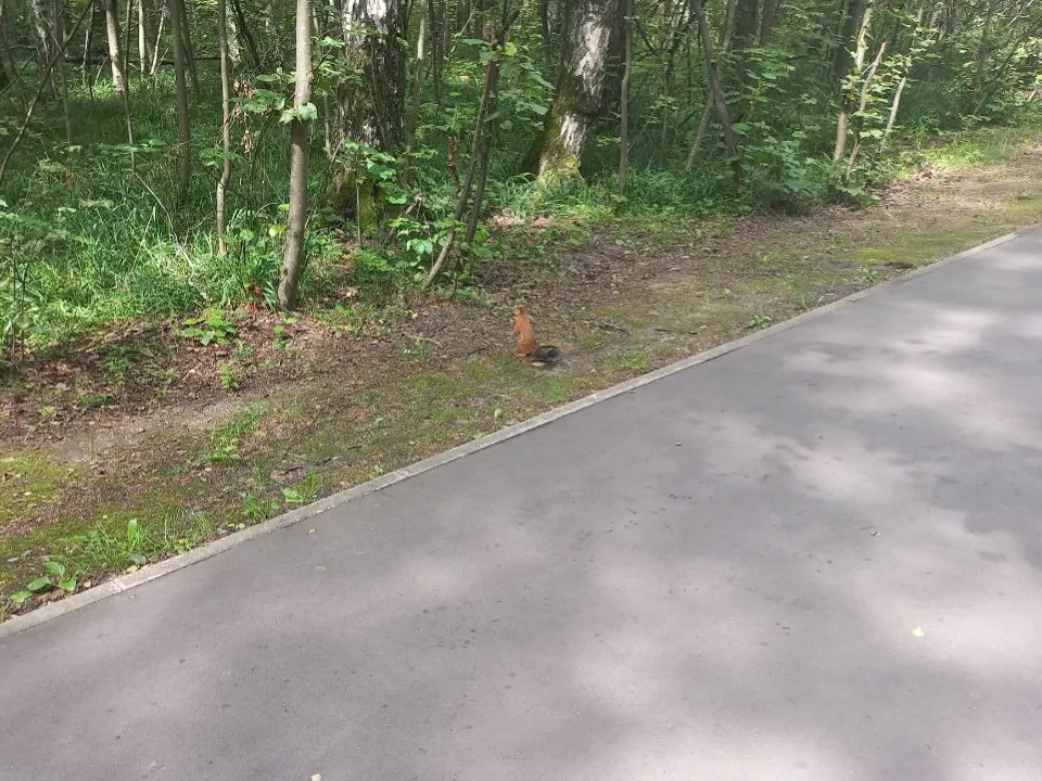 Фото: REGIONS/Олег Книжник