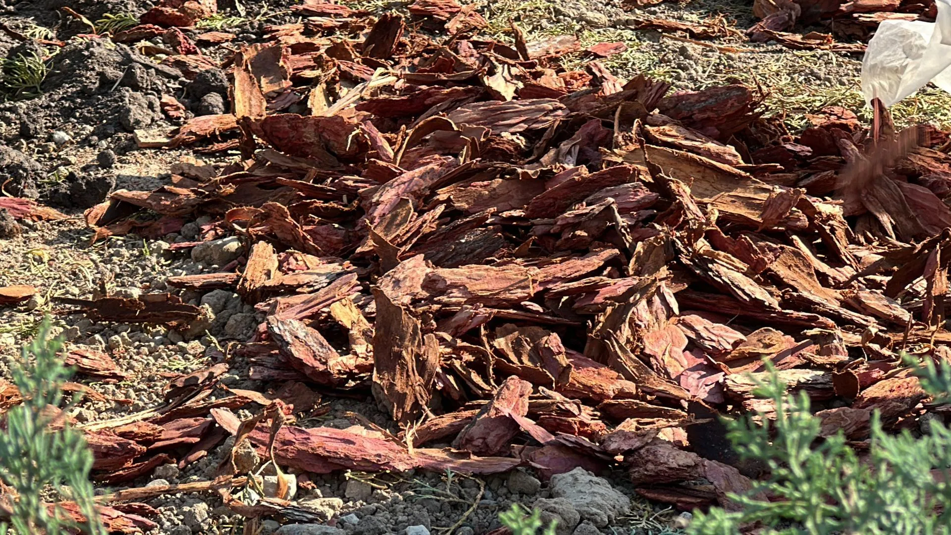 Мария Петрова