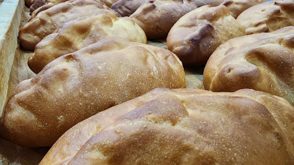 Фото: МедиаБанк Подмосковья/Ксения Пашуто