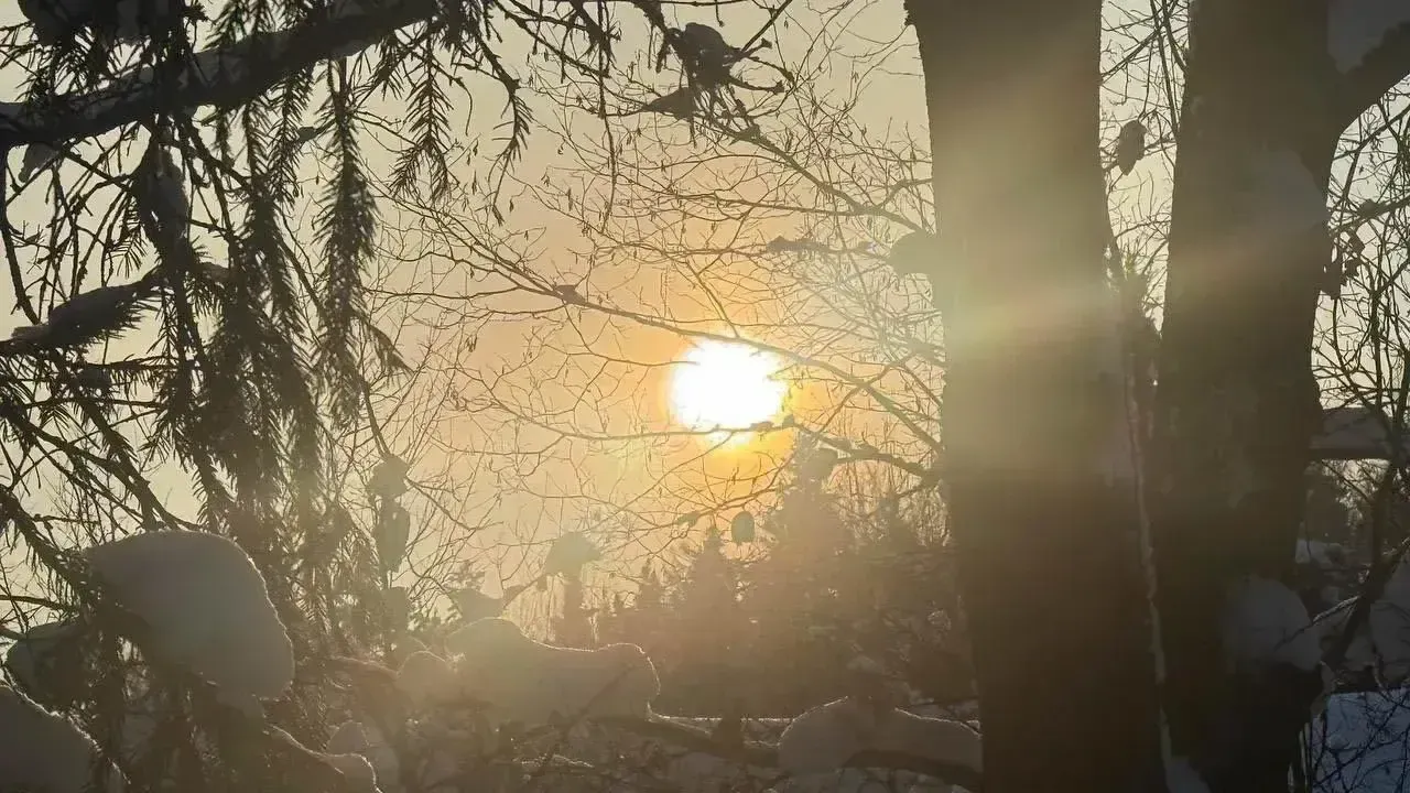 REGIONS/Анастасия Малышенко