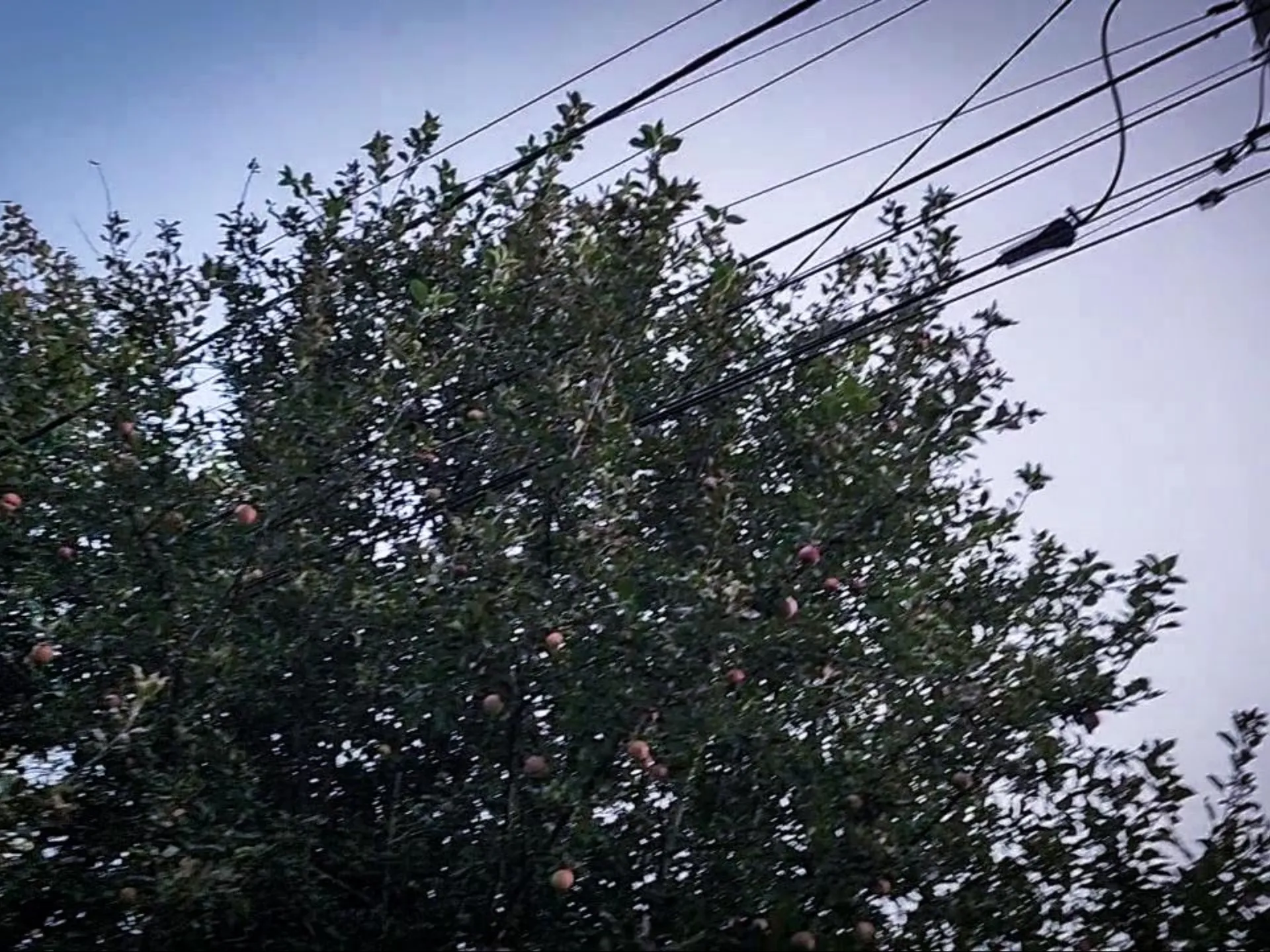 Фото: Медиабанк Подмосковья/Ольга Антонова