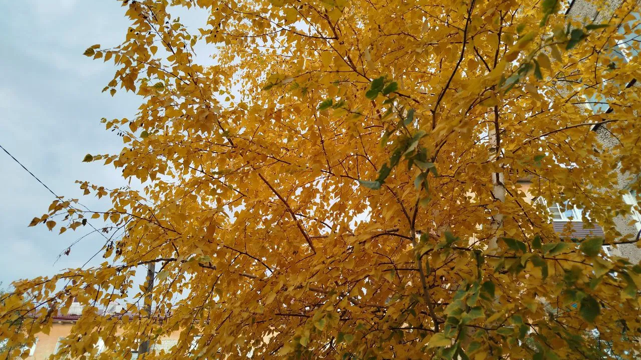 Фото: REGIONS/Елена Забелина