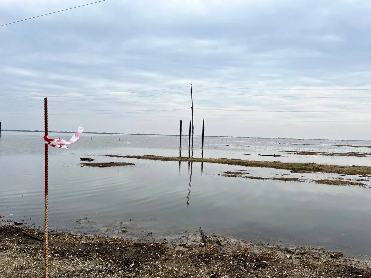 Фото: Елена Фурман