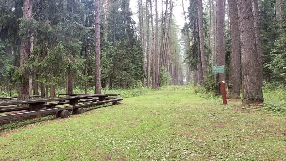 Фото: Комитет лесного хозяйства Московской области