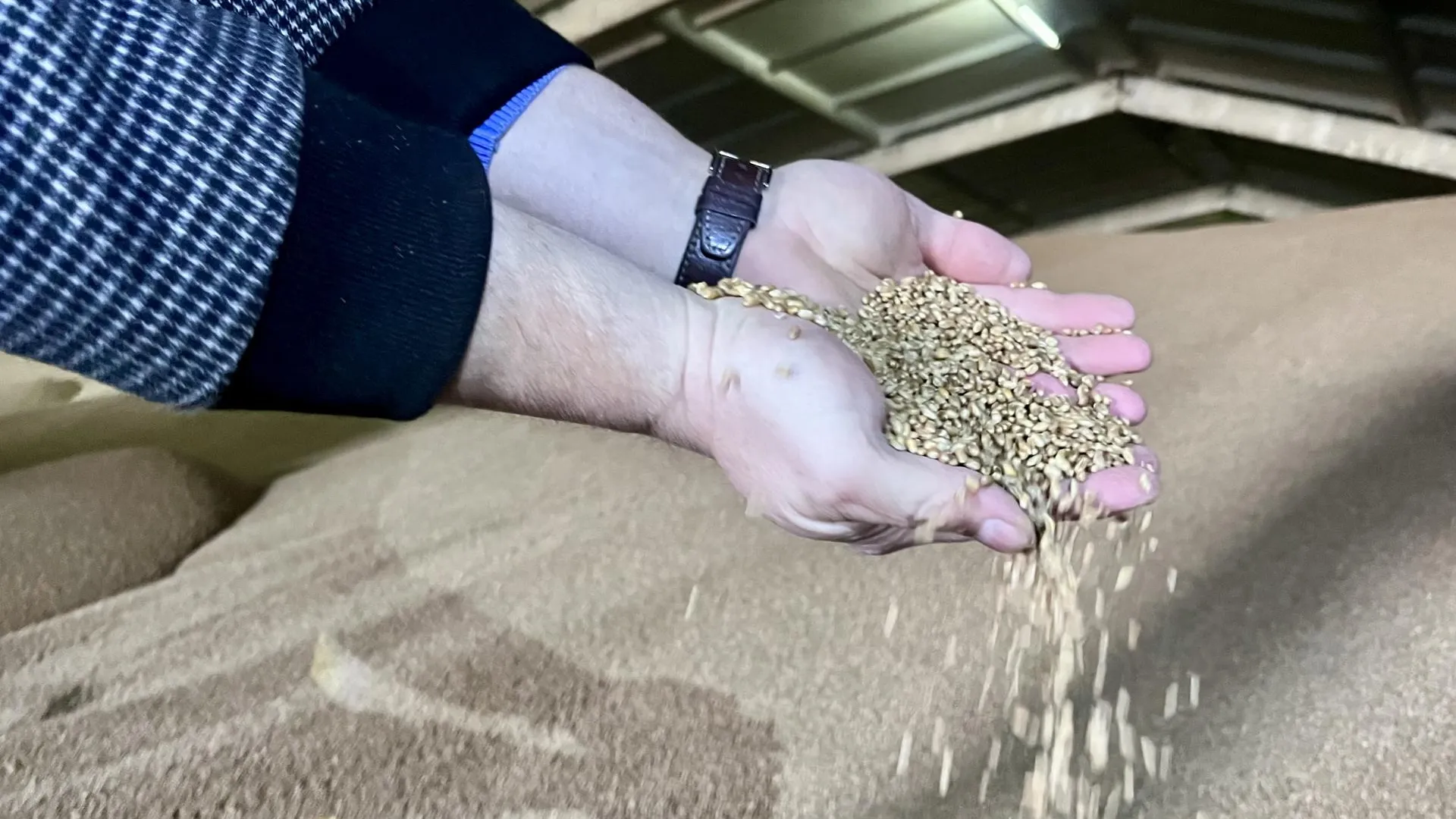 МедиаБанк Подмосковья/Ангелина Стельмух