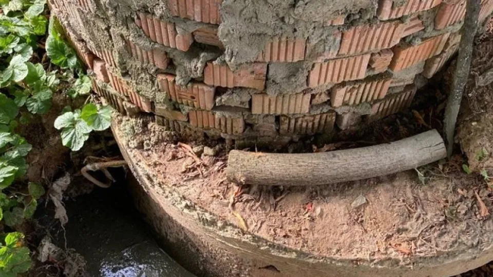 Фото: Минэкологии МО