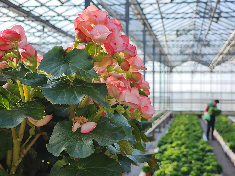 Фото: МедиаБанк Подмосковья/Юлия&nbsp;Андросова