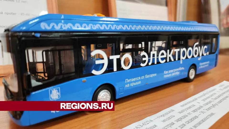 Фото: Ольга Сычева