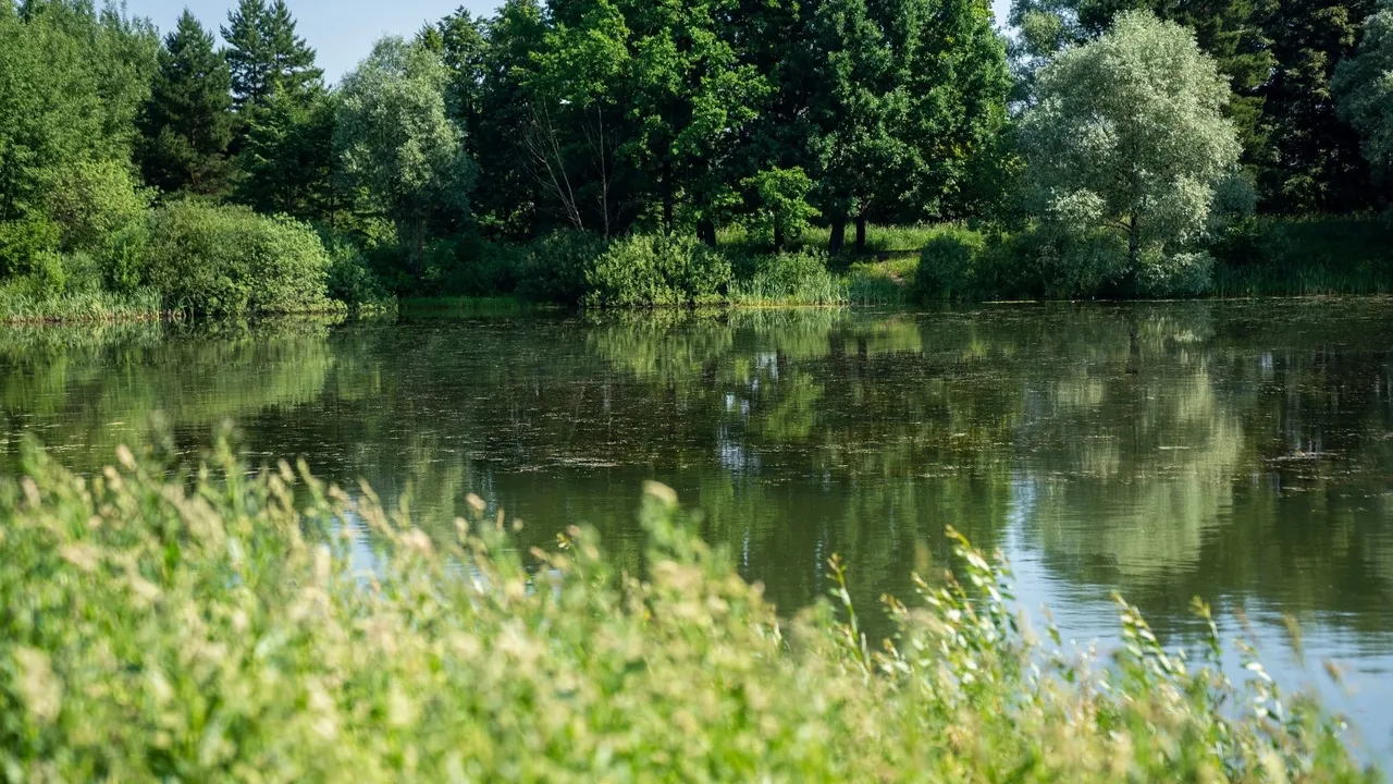 Фото: пресс-служба Администрации г. о. Домодедово