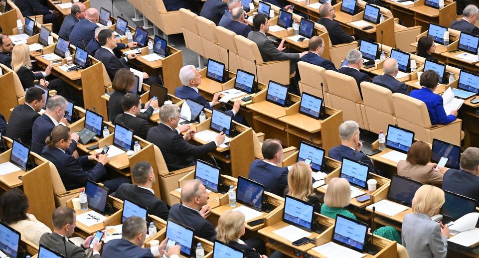 Мизулина раскритиковала предложение штрафовать россиян за поиск экстремистских материалов