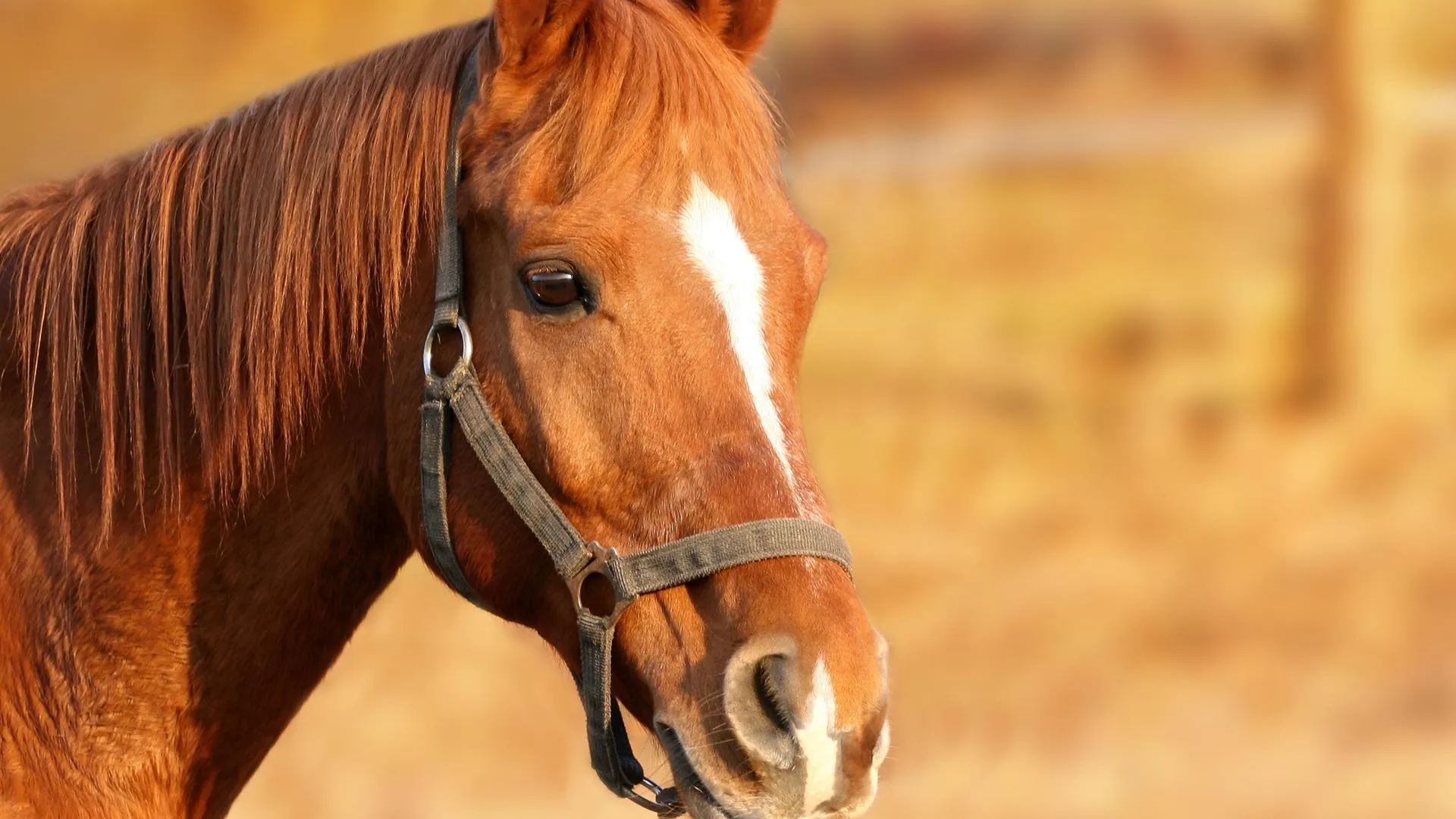 Фото: pxhere.com