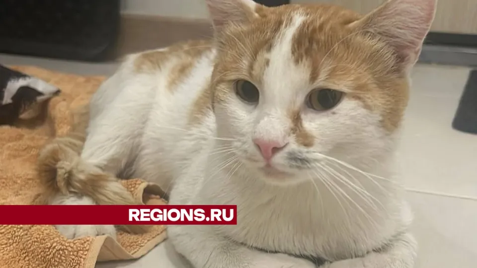 Фото: Алена Деткина