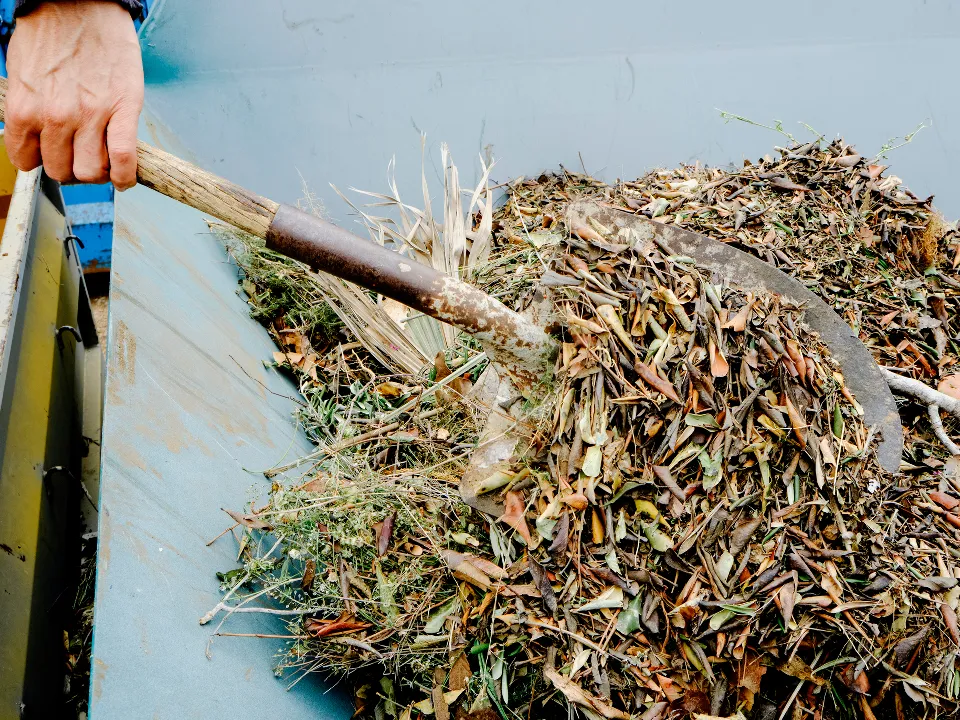 Фото: istockphoto.com