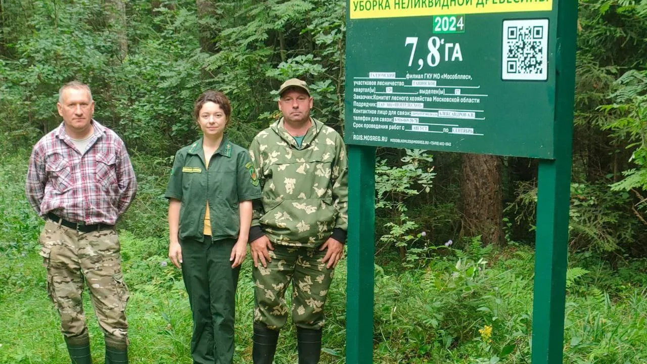 Фото: Комитет лесного хозяйства МО