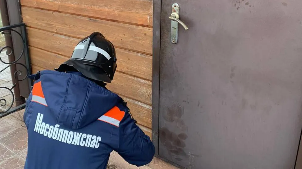 Фото: ГКУ МО «Мособлпожспас»